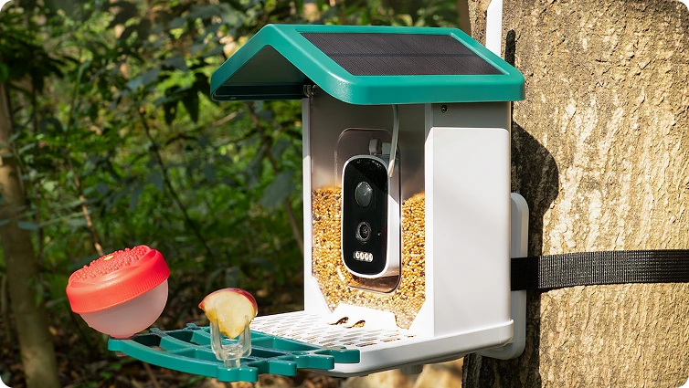 Smart bird feeder on a tree