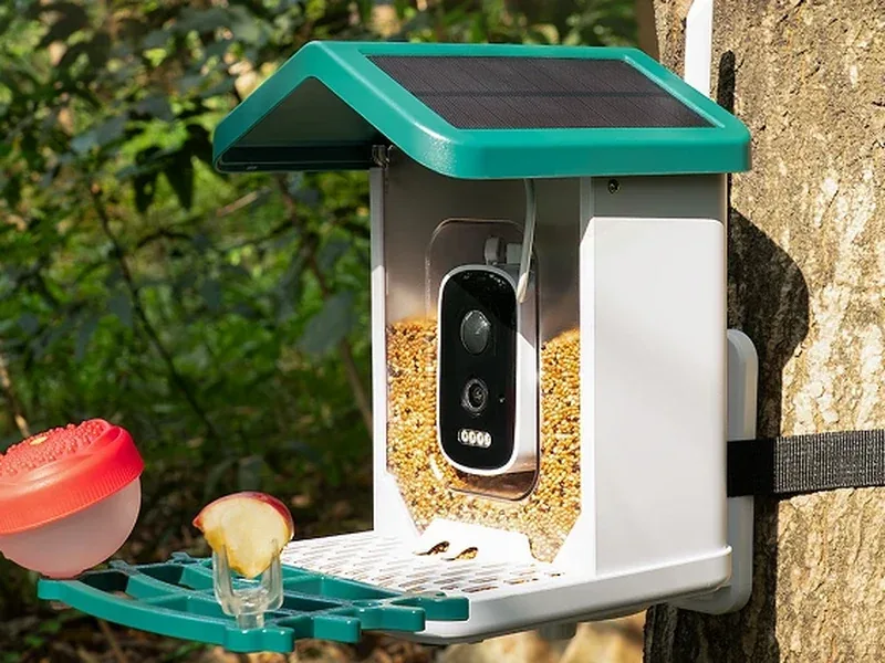 The feeder mounted on a tree
